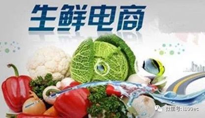 生鲜电商同城冷链物流配送研究 食品互联网销售背景下的挑战与优化路径